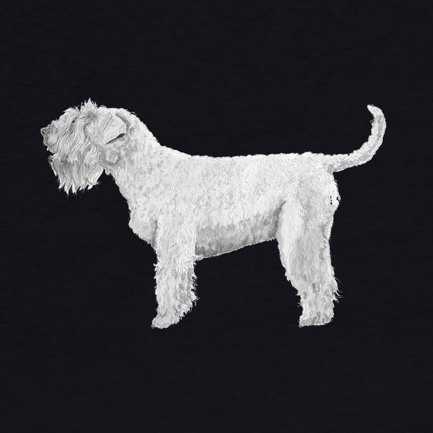 Soft coated wheaten terrier by doggyshop